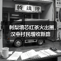 刺梨填芯红茶火出圈,汉中村民增收新路(图1) 刺梨填芯红茶火出圈,汉中村民增收新路(图1)