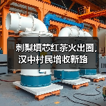 刺梨填芯红茶火出圈,汉中村民增收新路(图3) 刺梨填芯红茶火出圈,汉中村民增收新路(图3)