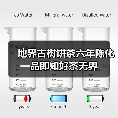 地界古树饼茶六年陈化 一品即知好茶无界(图4) 地界古树饼茶六年陈化 一品即知好茶无界(图4)