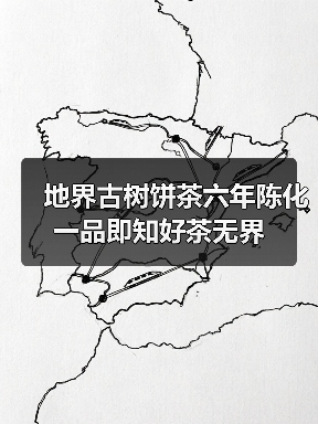 地界古树饼茶六年陈化 一品即知好茶无界(图3) 地界古树饼茶六年陈化 一品即知好茶无界(图3)