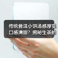 传统普洱小饼汤感厚实口感清甜？揭秘生茶的醇香奥秘（图3）