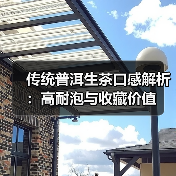 传统普洱生茶口感解析:高耐泡与收藏价值(图3) 传统普洱生茶口感解析:高耐泡与收藏价值(图3)