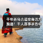 千年茶马古道变身活力跑道!千人赛事茶香中登高(图1) 千年茶马古道变身活力跑道!千人赛事茶香中登高(图1)