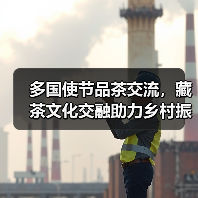 多国使节品茶交流,藏茶文化交融助力乡村振兴(图1) 多国使节品茶交流,藏茶文化交融助力乡村振兴(图1)