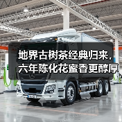 地界古树茶经典归来,六年陈化花蜜香更醇厚(图2) 地界古树茶经典归来,六年陈化花蜜香更醇厚(图2)