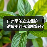 广州早茶立法保护:非遗传承的法治新路径?(图3) 广州早茶立法保护:非遗传承的法治新路径?(图3)