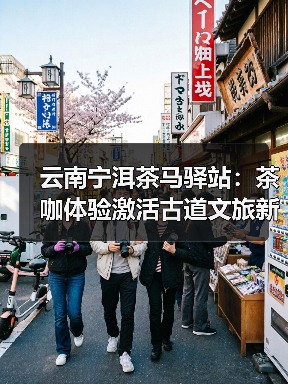 云南宁洱茶马驿站:茶咖体验激活古道文旅新魅力(图2) 云南宁洱茶马驿站:茶咖体验激活古道文旅新魅力(图2)