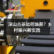 深山古茶如何焕新?乡村振兴新实践(图4) 深山古茶如何焕新?乡村振兴新实践(图4)
