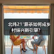 北纬21°藤茶如何成乡村振兴新引擎?(图3) 北纬21°藤茶如何成乡村振兴新引擎?(图3)