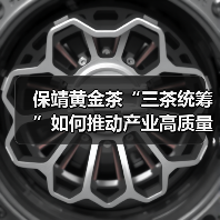 保靖黄金茶“三茶统筹”如何推动产业高质量发展？（图1）