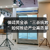 保靖黄金茶“三茶统筹”如何推动产业高质量发展？（图4）