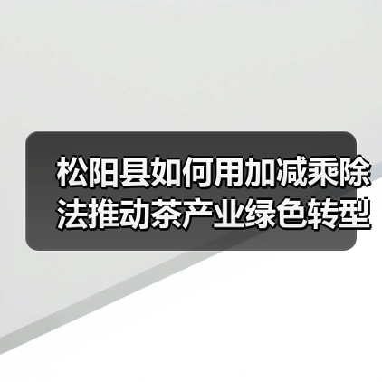 松阳县如何用加减乘除法推动茶产业绿色转型?(图2) 松阳县如何用加减乘除法推动茶产业绿色转型?(图2)