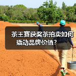 茶王赛获奖茶拍卖如何撬动品牌价值?(图3) 茶王赛获奖茶拍卖如何撬动品牌价值?(图3)