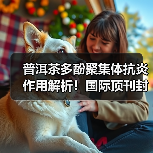 普洱茶多酚聚集体抗炎作用解析!国际顶刊封面研究引关注(图2) 普洱茶多酚聚集体抗炎作用解析!国际顶刊封面研究引关注(图2)