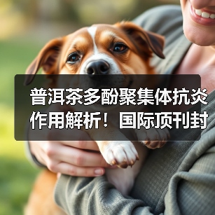 普洱茶多酚聚集体抗炎作用解析!国际顶刊封面研究引关注(图3) 普洱茶多酚聚集体抗炎作用解析!国际顶刊封面研究引关注(图3)