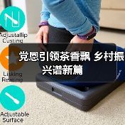 党恩引领茶香飘 乡村振兴谱新篇（图4）