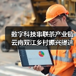 数字科技串联茶产业链 云南双江乡村振兴提速（图4）