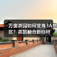 万亩茶园如何变身3A景区?茶旅融合新标杆(图2) 万亩茶园如何变身3A景区?茶旅融合新标杆(图2)