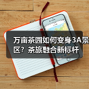 万亩茶园如何变身3A景区?茶旅融合新标杆(图1) 万亩茶园如何变身3A景区?茶旅融合新标杆(图1)