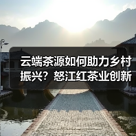 云端茶源如何助力乡村振兴?怒江红茶业创新模式打造产业新动能(图4) 云端茶源如何助力乡村振兴?怒江红茶业创新模式打造产业新动能(图4)