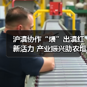 沪滇协作“煨”出滇红新活力 产业振兴助农增收(图2) 沪滇协作“煨”出滇红新活力 产业振兴助农增收(图2)