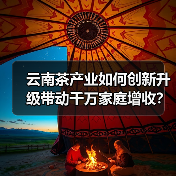 云南茶产业如何创新升级带动千万家庭增收?(图2) 云南茶产业如何创新升级带动千万家庭增收?(图2)