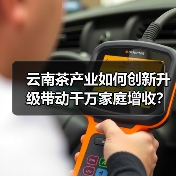 云南茶产业如何创新升级带动千万家庭增收?(图3) 云南茶产业如何创新升级带动千万家庭增收?(图3)