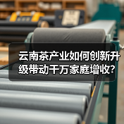 云南茶产业如何创新升级带动千万家庭增收?(图4) 云南茶产业如何创新升级带动千万家庭增收?(图4)