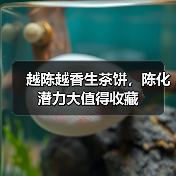 越陈越香生茶饼，陈化潜力大值得收藏（图4）