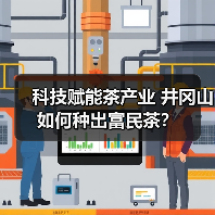 科技赋能茶产业 井冈山如何种出富民茶？（图3）