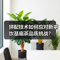 拼配技术如何应对新茶饮基底茶品质挑战？（图4）