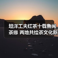坦洋工夫红茶十载鲁闽茶缘 两地共绘茶文化新篇章（图4）