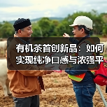 有机茶首创新品:如何实现纯净口感与浓强平衡?(图2) 有机茶首创新品:如何实现纯净口感与浓强平衡?(图2)