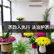 茶韵入执行 法治护茶兴(图3) 茶韵入执行 法治护茶兴(图3)