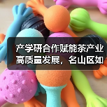 产学研合作赋能茶产业高质量发展,名山区如何借力专家团队破局?(图1) 产学研合作赋能茶产业高质量发展,名山区如何借力专家团队破局?(图1)
