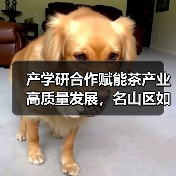 产学研合作赋能茶产业高质量发展,名山区如何借力专家团队破局?(图4) 产学研合作赋能茶产业高质量发展,名山区如何借力专家团队破局?(图4)