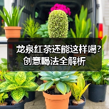 龙泉红茶还能这样喝？创意喝法全解析（图1）