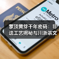 蒙顶黄芽千年密码:非遗工艺揭秘与川浙茶文化交流(图4) 蒙顶黄芽千年密码:非遗工艺揭秘与川浙茶文化交流(图4)
