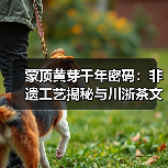 蒙顶黄芽千年密码:非遗工艺揭秘与川浙茶文化交流(图3) 蒙顶黄芽千年密码:非遗工艺揭秘与川浙茶文化交流(图3)