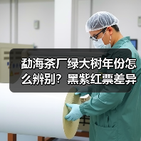 勐海茶厂绿大树年份怎么辨别?黑紫红票差异解析(图1) 勐海茶厂绿大树年份怎么辨别?黑紫红票差异解析(图1)