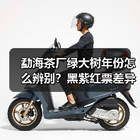 勐海茶厂绿大树年份怎么辨别?黑紫红票差异解析(图3) 勐海茶厂绿大树年份怎么辨别?黑紫红票差异解析(图3)