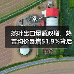茶叶出口量额双增,熟普均价暴增51.9%背后的机遇与挑战(图2) 茶叶出口量额双增,熟普均价暴增51.9%背后的机遇与挑战(图2)