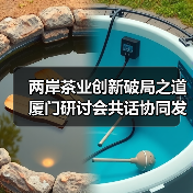 两岸茶业创新破局之道 厦门研讨会共话协同发展新路径（图2）