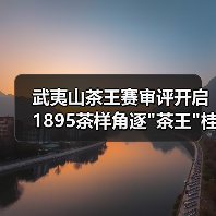 武夷山茶王赛审评开启 1895茶样角逐 武夷山茶王赛审评开启 1895茶样角逐
