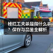 桂红工夫茶是指什么茶？保存与品鉴全解析