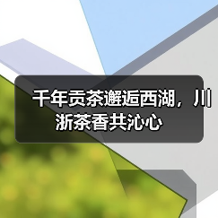 千年贡茶邂逅西湖，川浙茶香共沁心（图1）