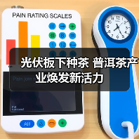 光伏板下种茶 普洱茶产业焕发新活力(图4) 光伏板下种茶 普洱茶产业焕发新活力(图4)