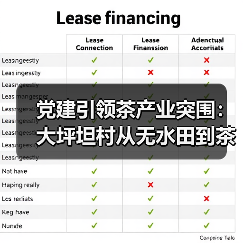 党建引领茶产业突围：大坪坦村从无水田到茶满山的乡村振兴之路（图2）