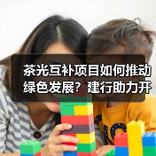 茶光互补项目如何推动绿色发展?建行助力开启新引擎(图2) 茶光互补项目如何推动绿色发展?建行助力开启新引擎(图2)
