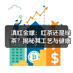 滇红金螺：红茶还是绿茶？揭秘其工艺与健康功效